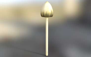 liberty cap mushroom